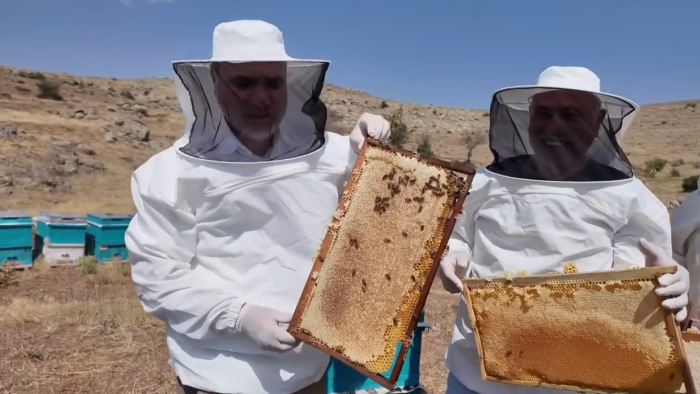 NÖHÜ Bal Hasadına Başladı